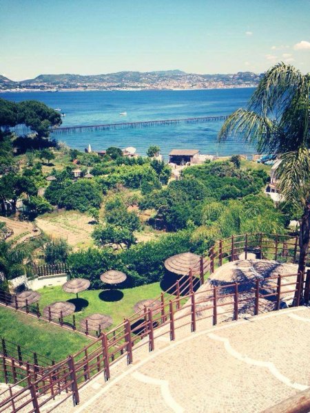 1235388_721633727854172_1009496193_n